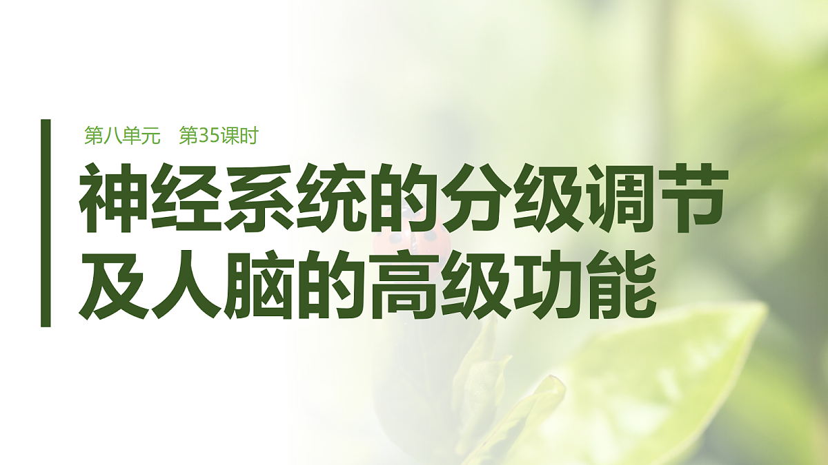 第八单元　第35课时　神经系统的分级调节及人脑的高级功能第1页