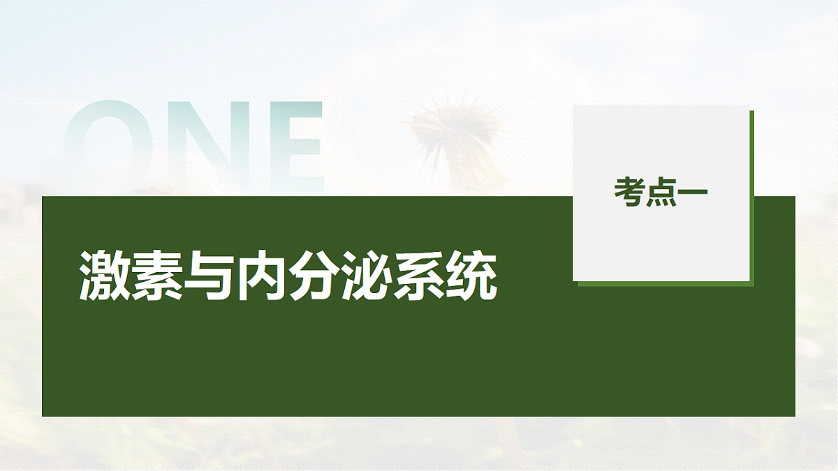 第八单元　第36课时　激素与内分泌调节及激素调节的过程第5页