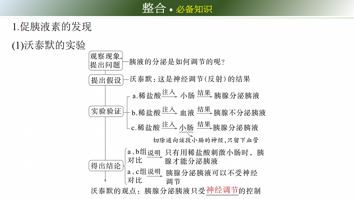 第八单元　第36课时　激素与内分泌调节及激素调节的过程第6页