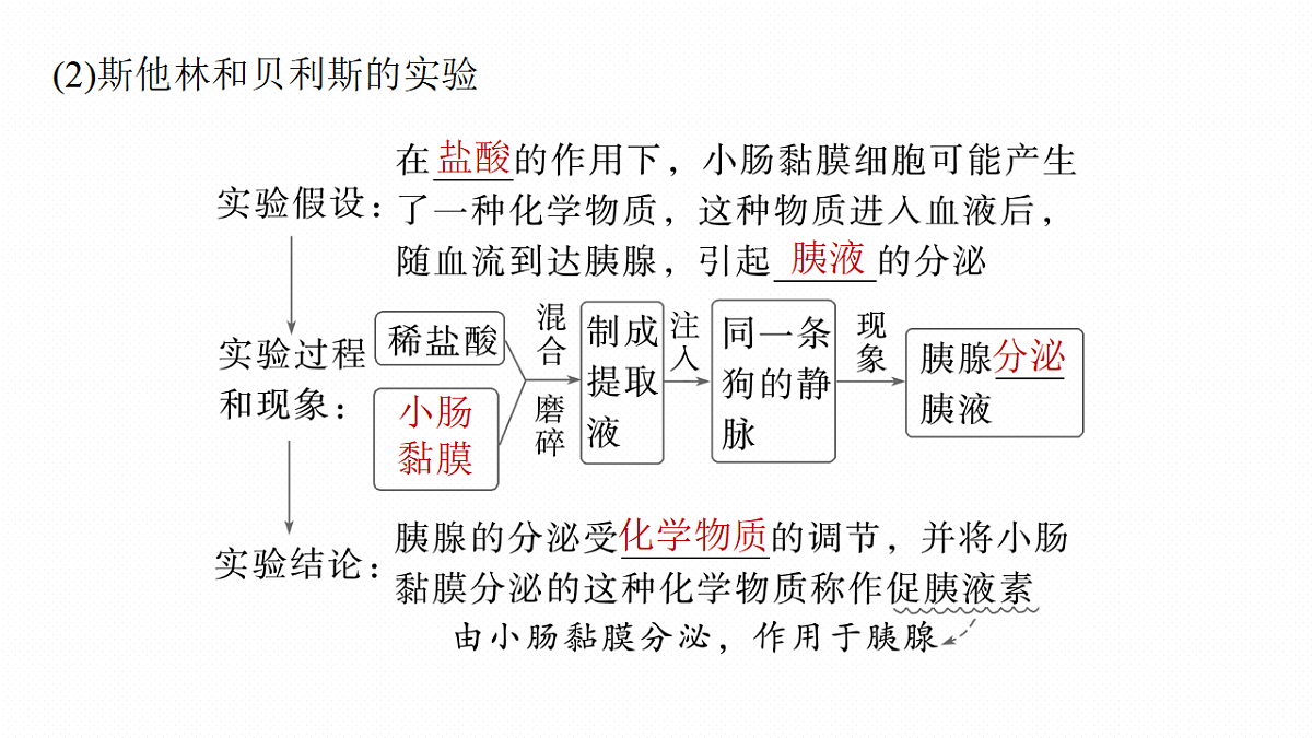 第八单元　第36课时　激素与内分泌调节及激素调节的过程第7页
