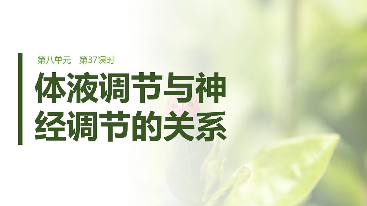 第八单元　第37课时　体液调节与神经调节的关系第1页