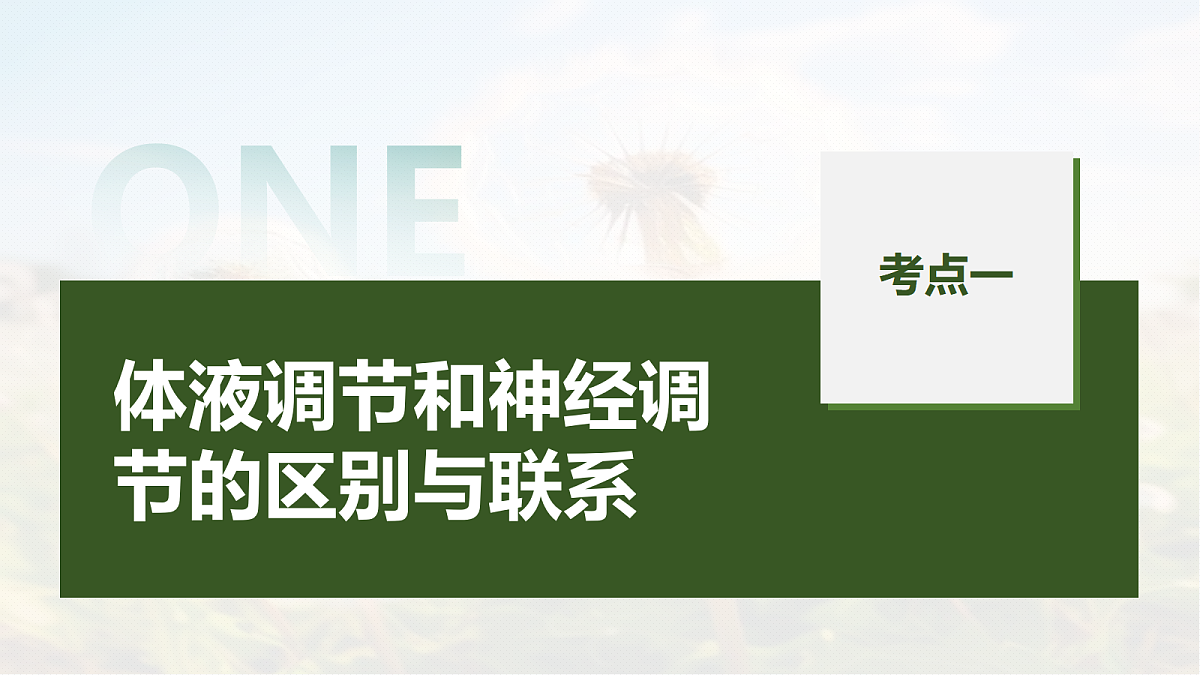 第八单元　第37课时　体液调节与神经调节的关系第5页