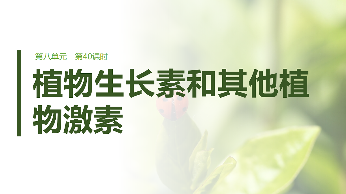 第八单元　第40课时　植物生长素和其他植物激素第1页