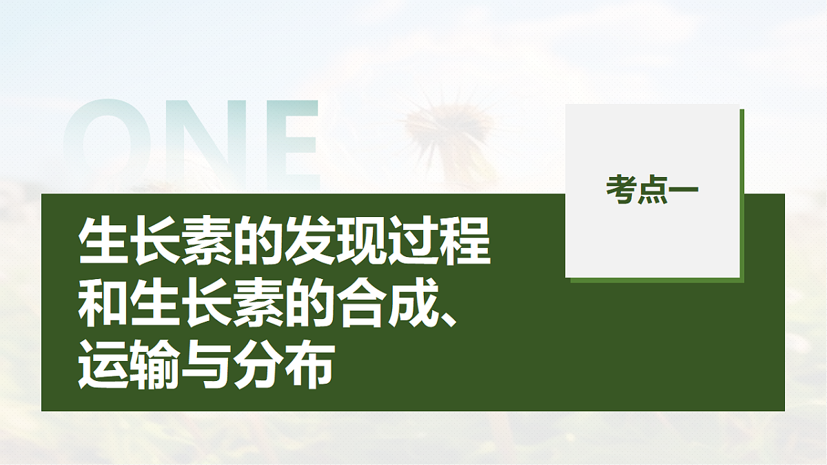 第八单元　第40课时　植物生长素和其他植物激素第5页