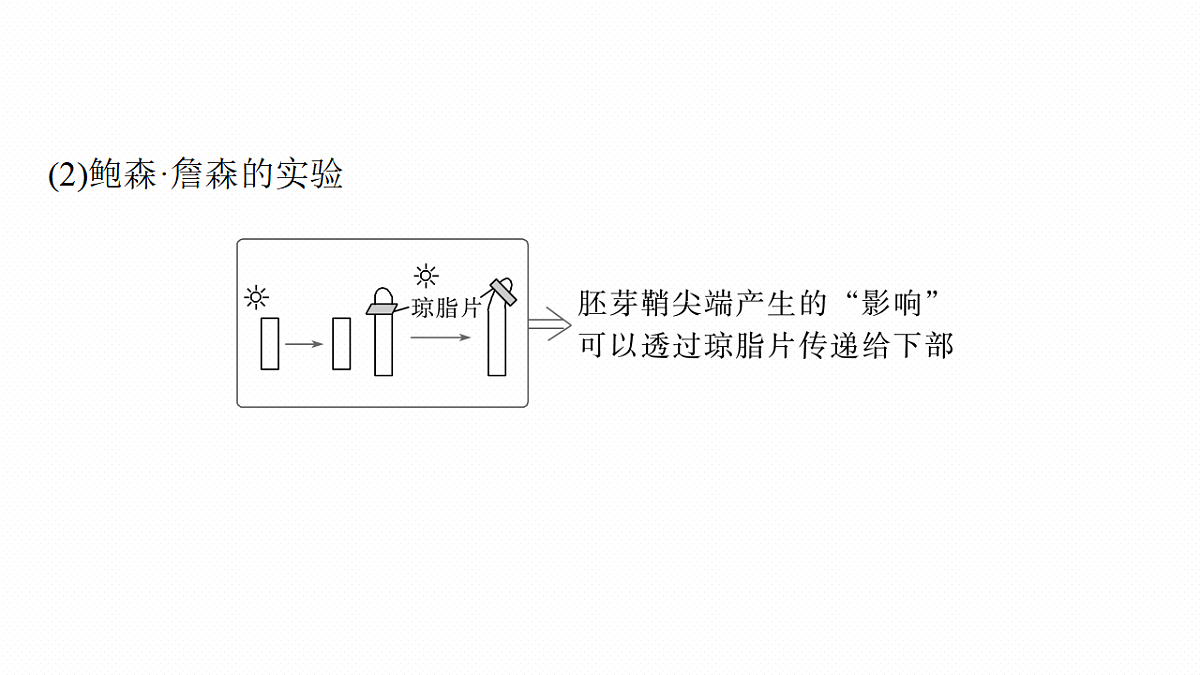 第八单元　第40课时　植物生长素和其他植物激素第7页