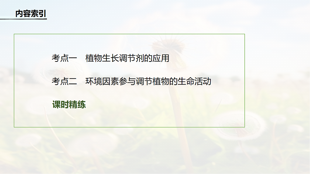 第八单元　第41课时　植物生长调节剂的应用及环境因素参与调节植物的生命活动第4页
