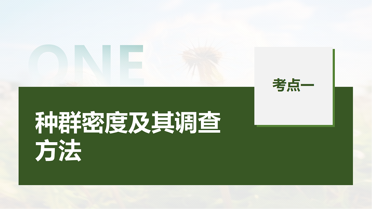 第九单元　第42课时　种群的数量特征第5页