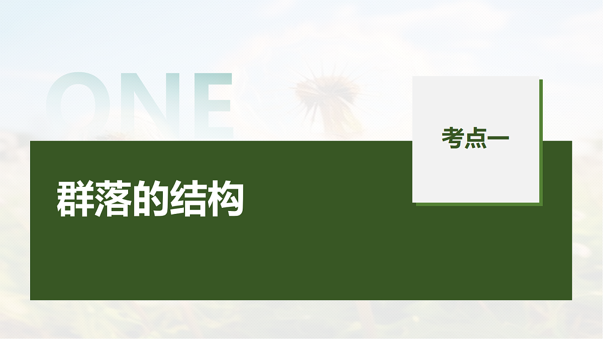 第九单元　第44课时　群落的结构第5页
