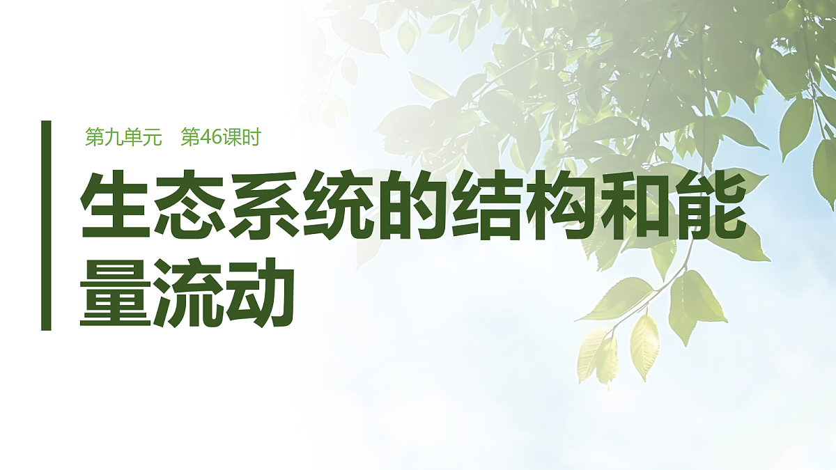 第九单元　第46课时　生态系统的结构和能量流动第1页