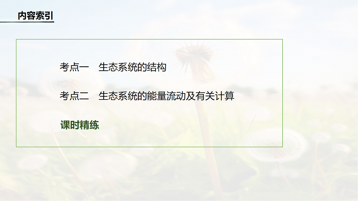 第九单元　第46课时　生态系统的结构和能量流动第4页