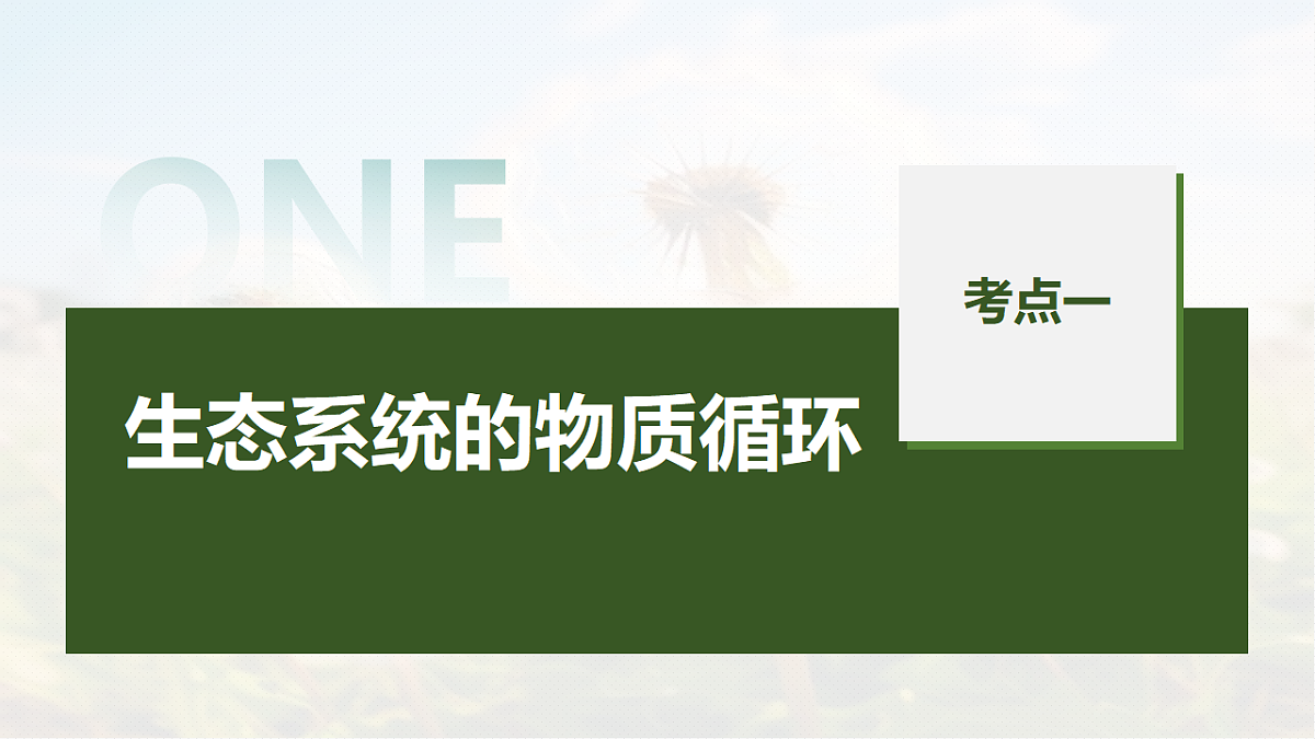 第九单元　第47课时　生态系统的物质循环、信息传递及稳定性第5页