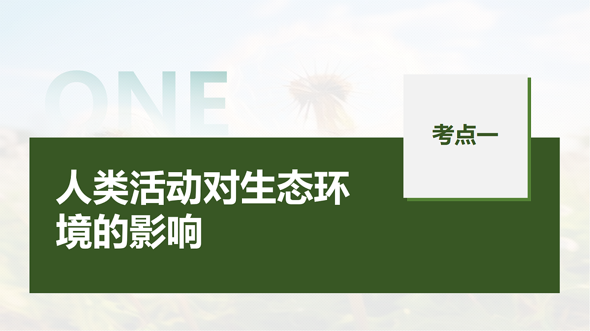 第九单元　第48课时　人与环境第5页