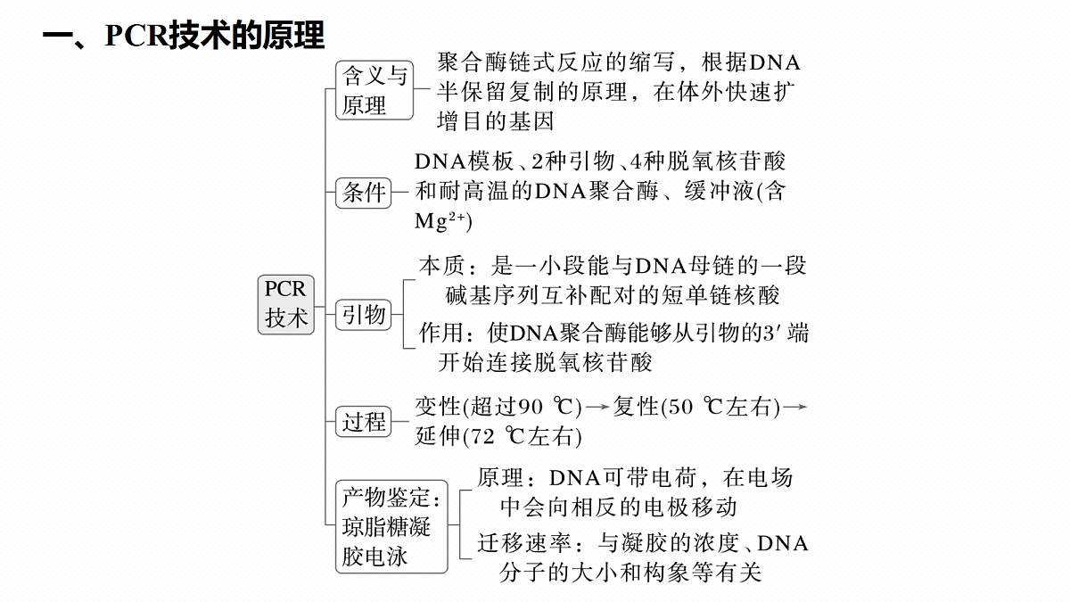第十单元　专题突破12　PCR技术的原理及其应用第4页