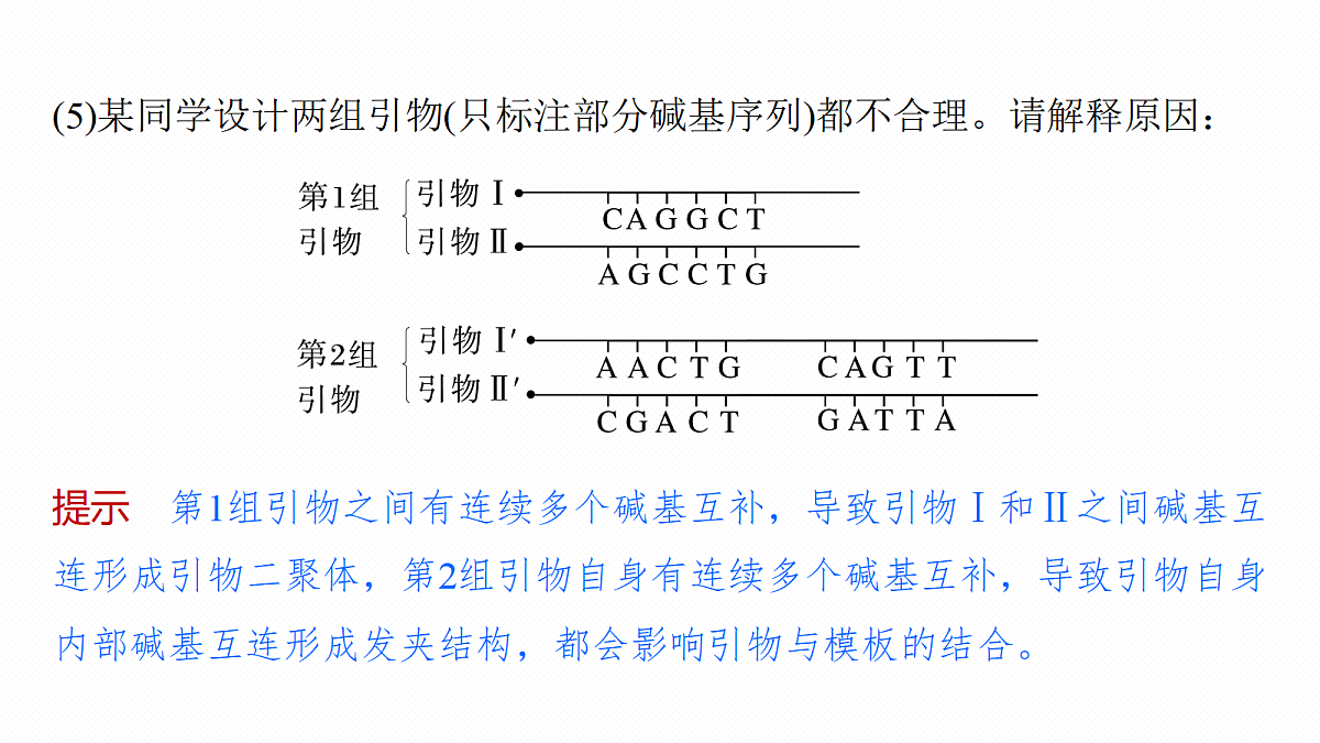 第十单元　专题突破12　PCR技术的原理及其应用第7页