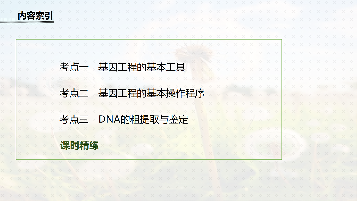 第十单元　第54课时　基因工程的基本工具和基本操作程序(含DNA的粗提取)第4页