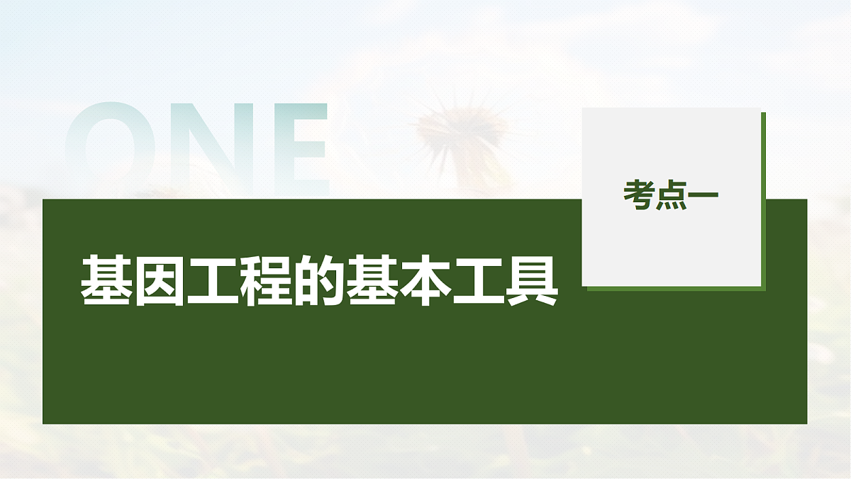 第十单元　第54课时　基因工程的基本工具和基本操作程序(含DNA的粗提取)第5页