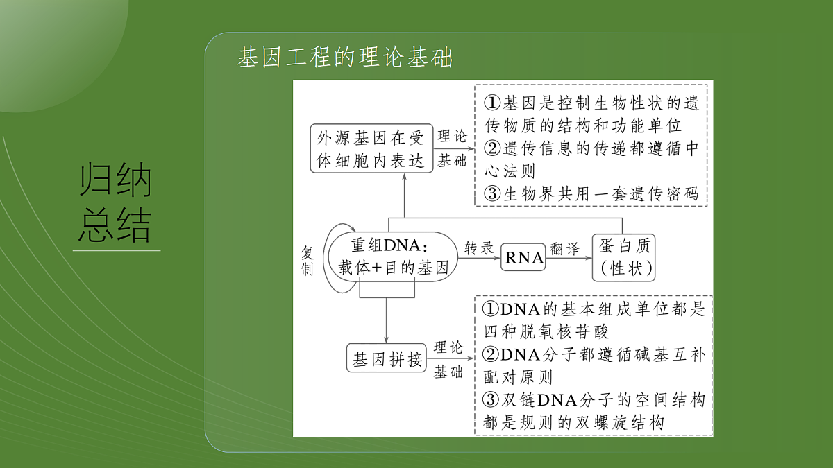 第十单元　第54课时　基因工程的基本工具和基本操作程序(含DNA的粗提取)第7页
