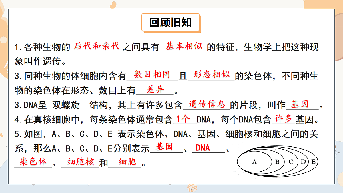 18274234第2页