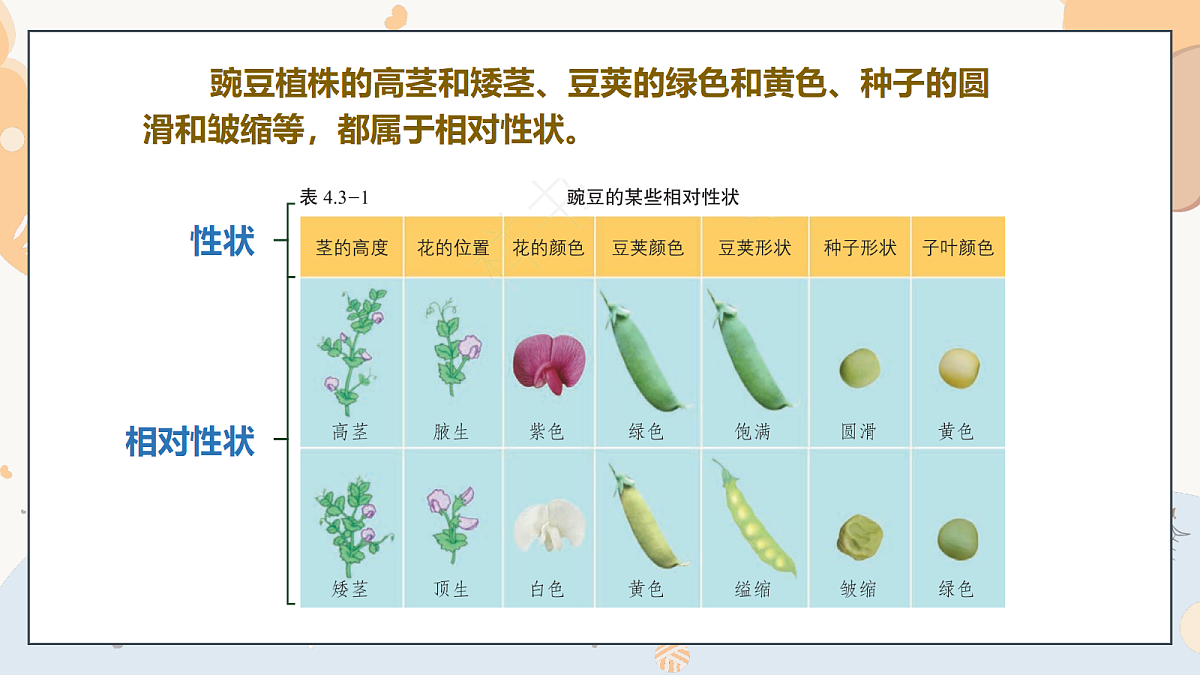 18274234第7页