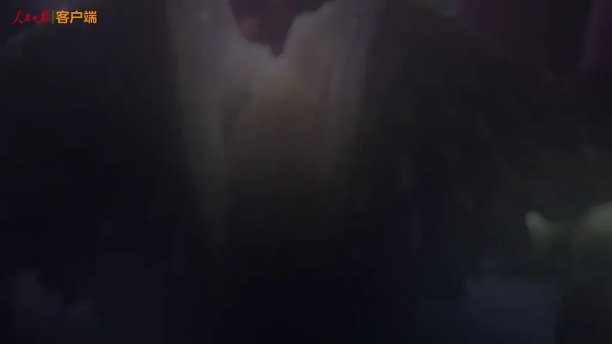 18274236第2页