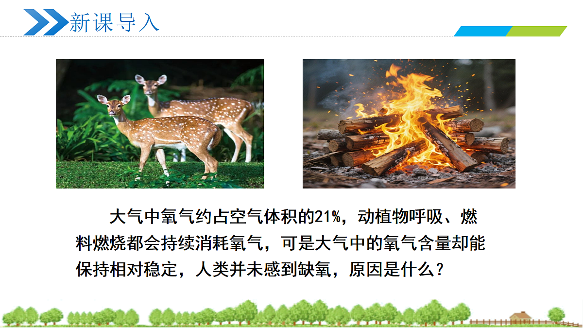 18274237第2页
