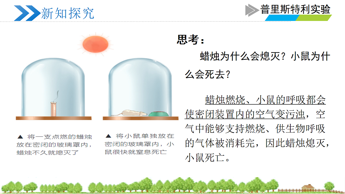 18274237第4页