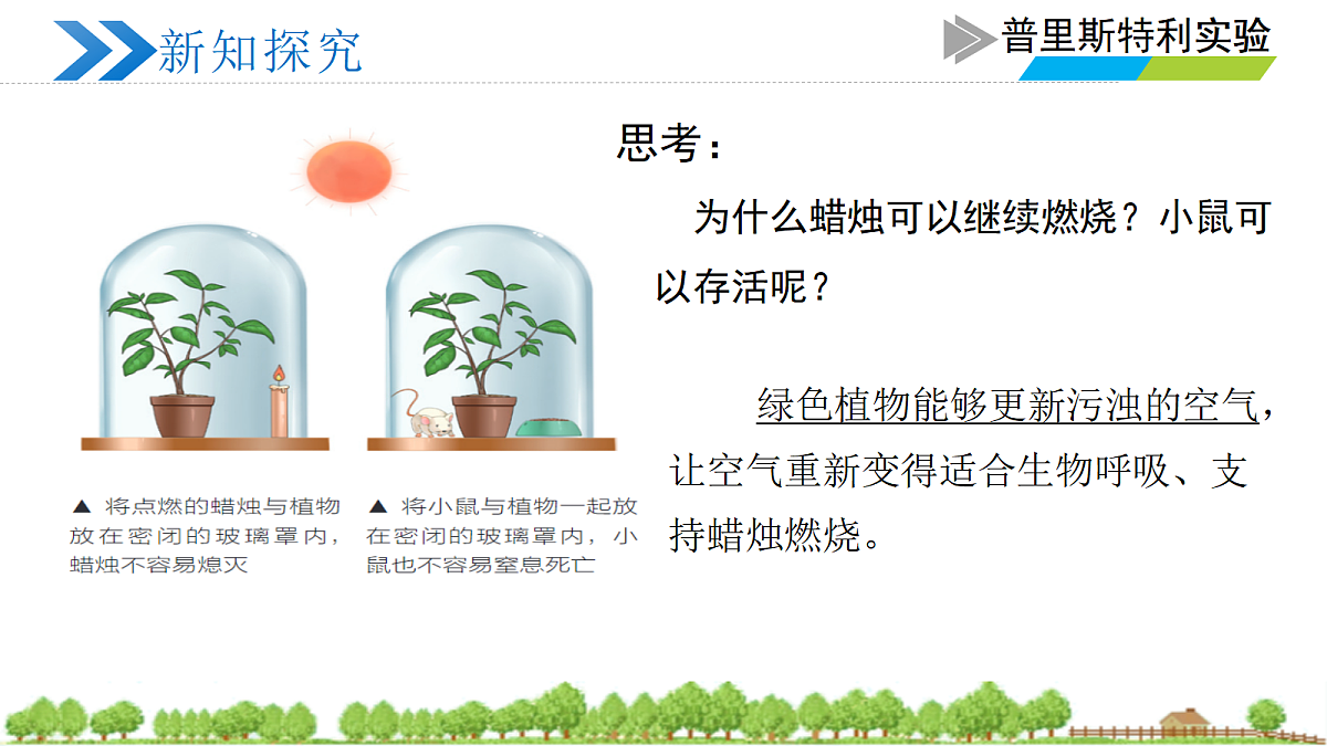 18274237第5页