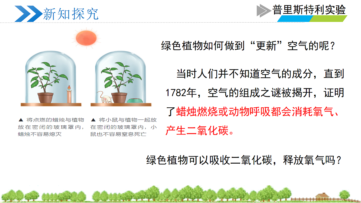 18274237第6页