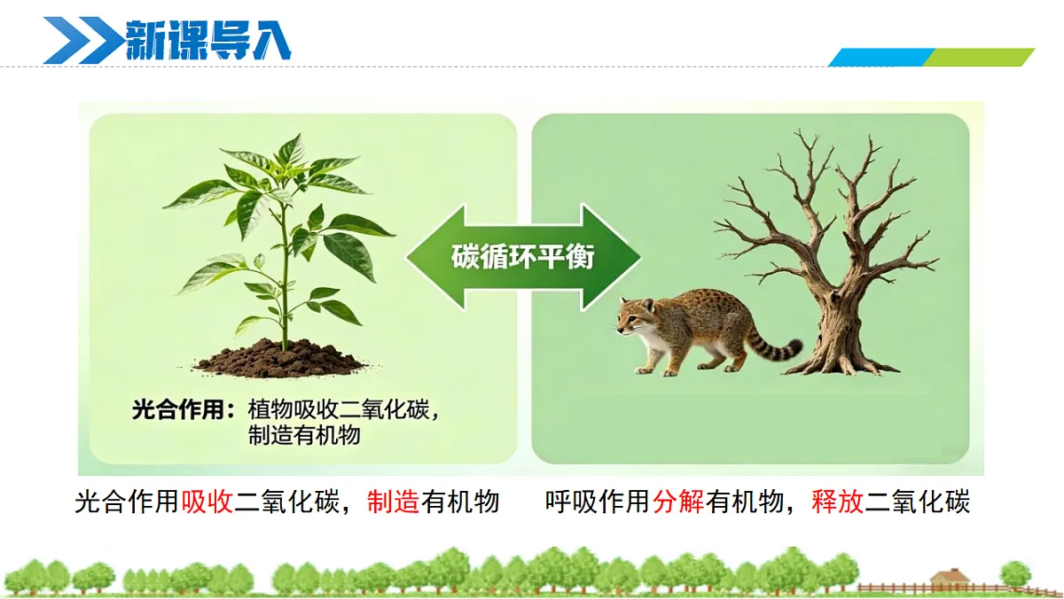 18274238第2页