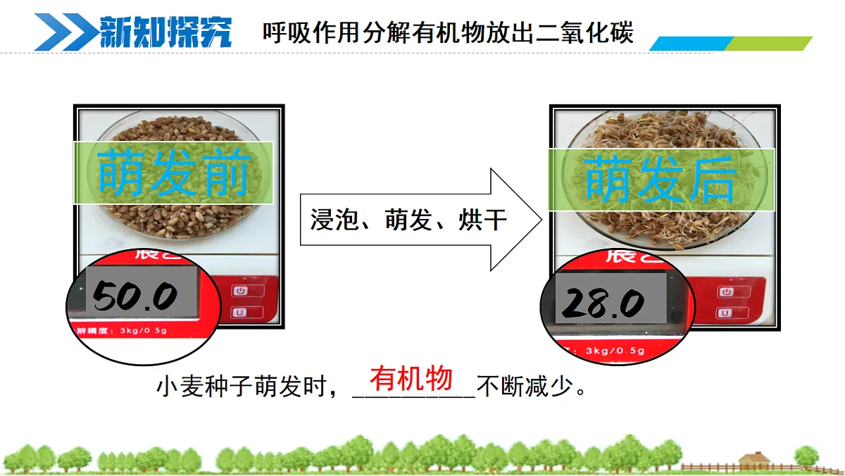 18274238第4页