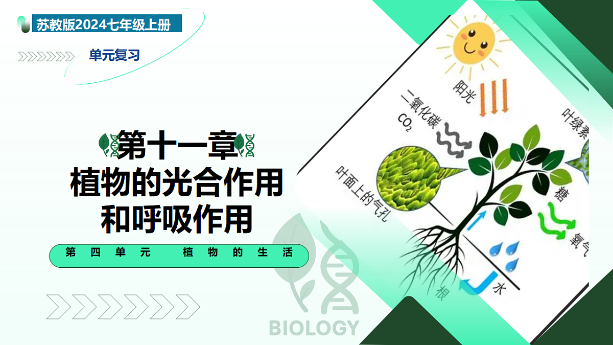 18274241第1页
