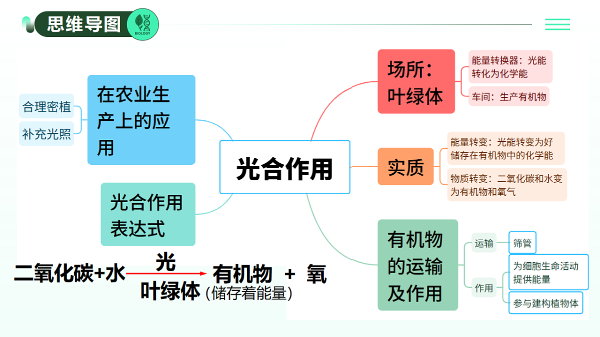 18274241第3页