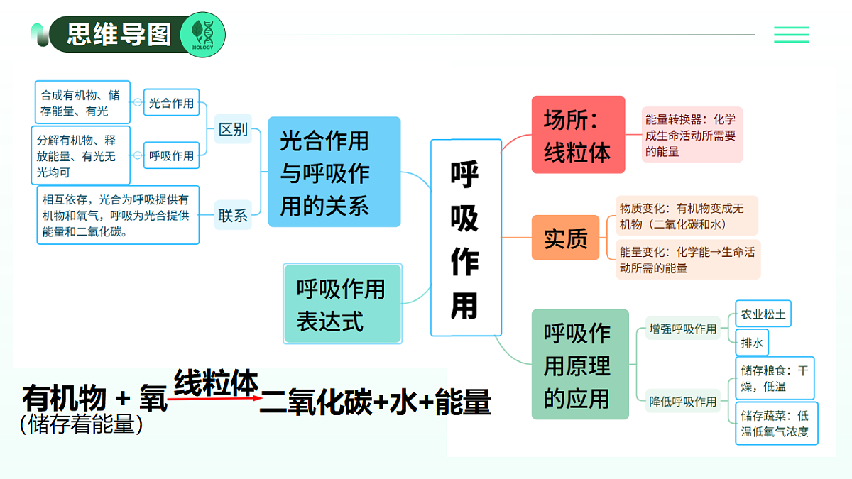 18274241第4页