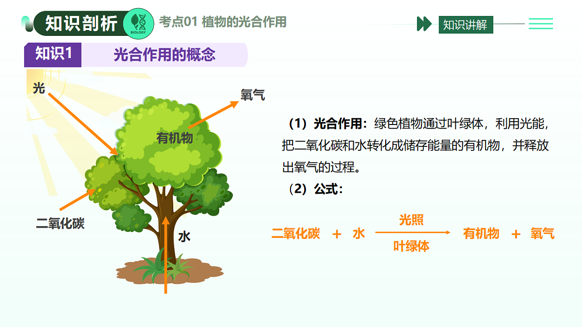 18274241第5页