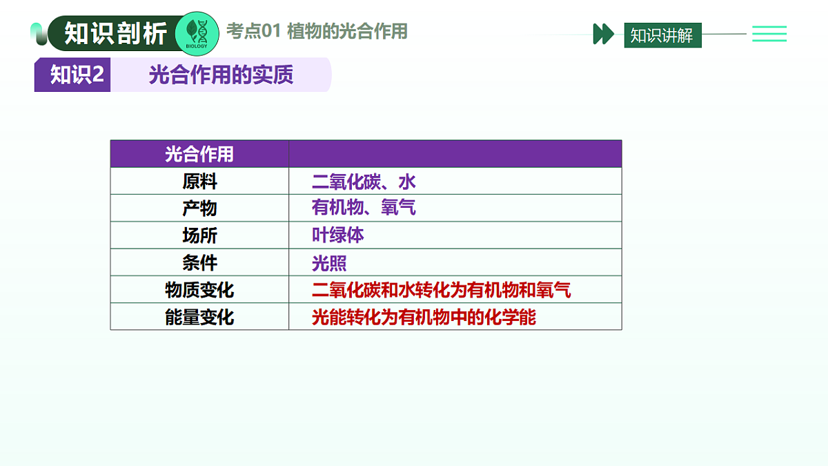 18274241第6页