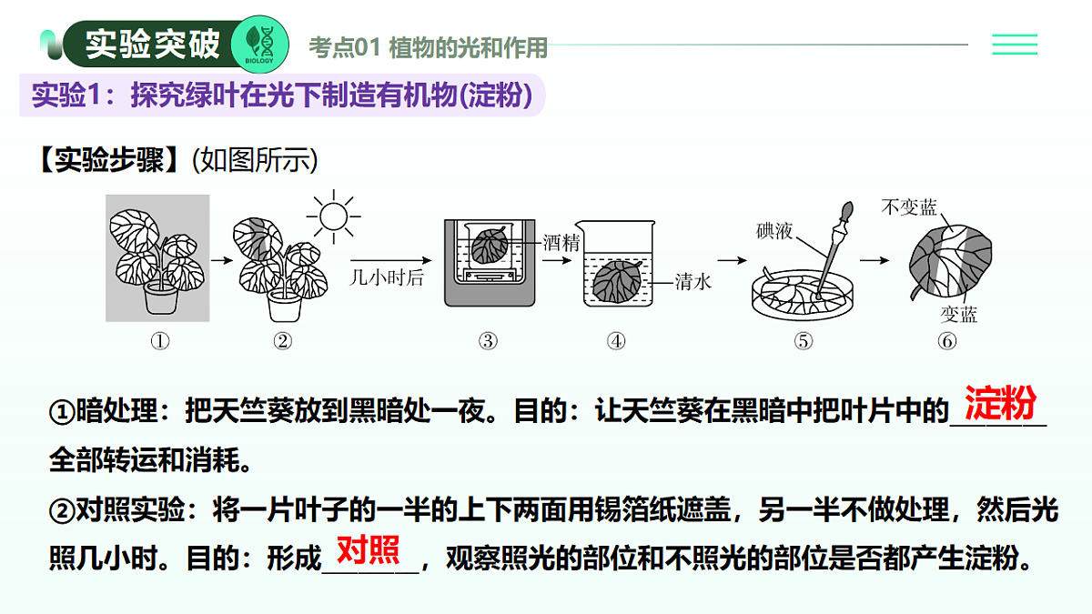 18274241第7页