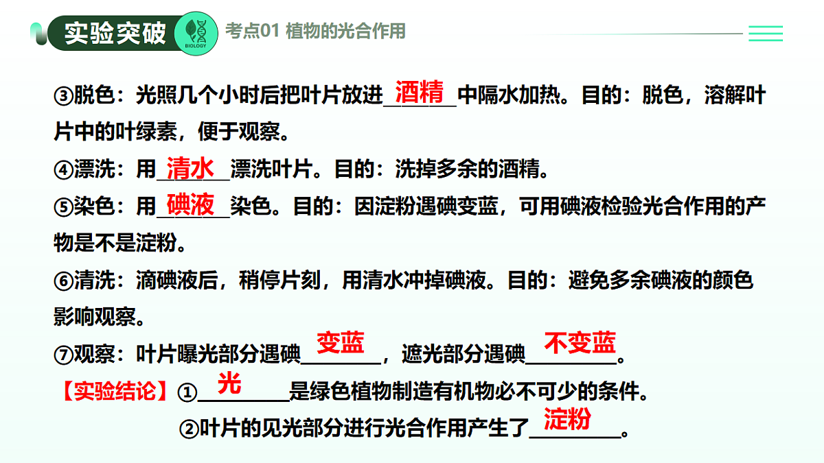18274241第8页