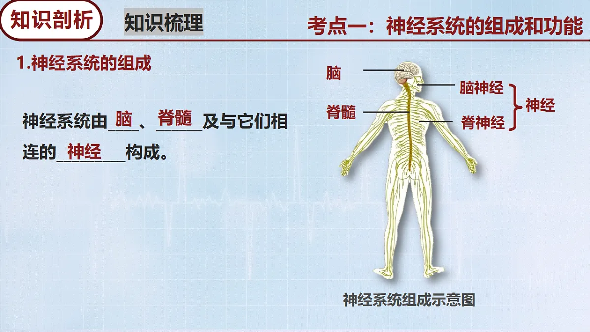 18274247第5页