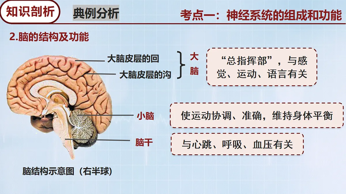 18274247第6页