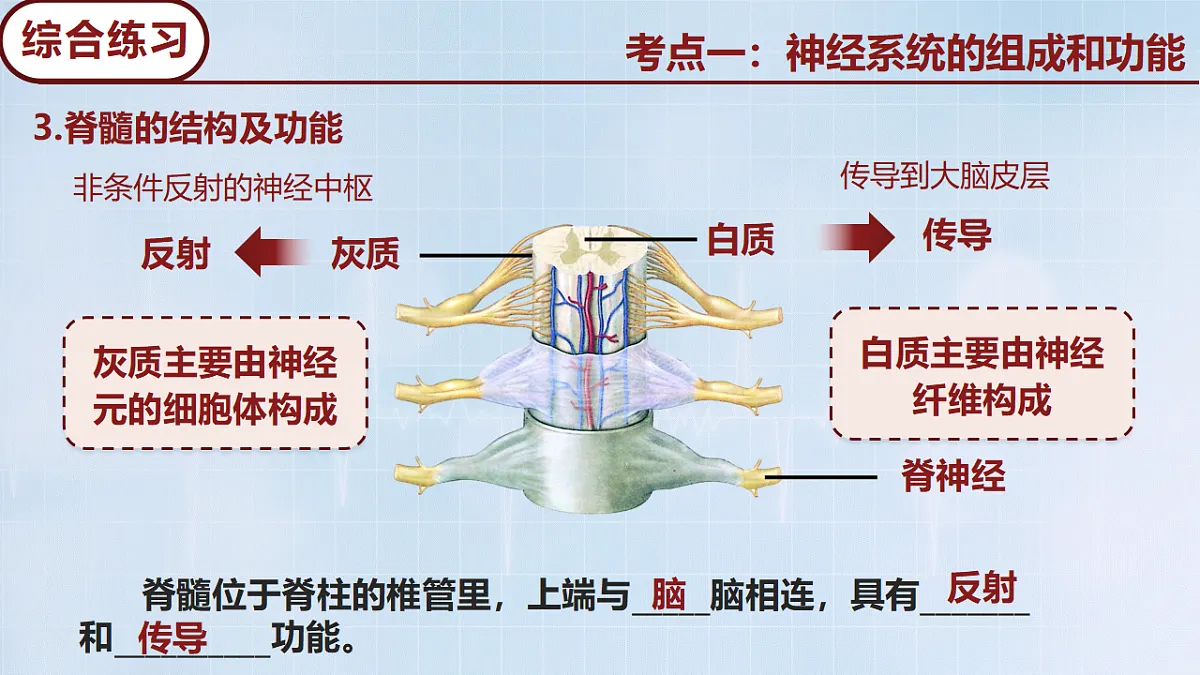 18274247第7页