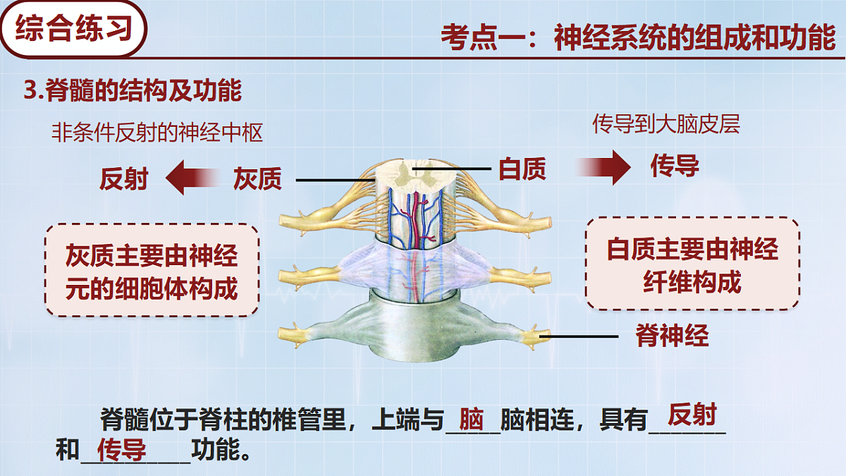 18274247第7页