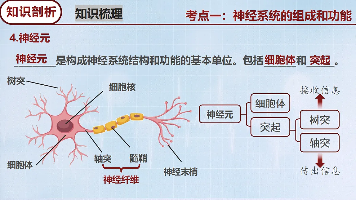 18274247第8页