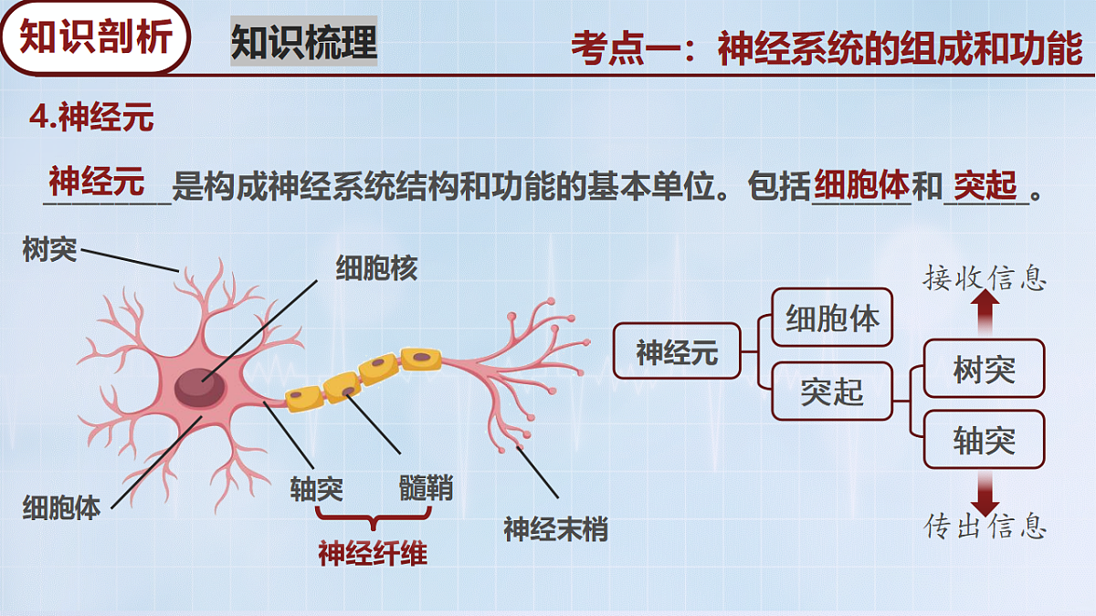 18274247第8页