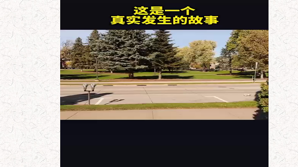 18274887第2页