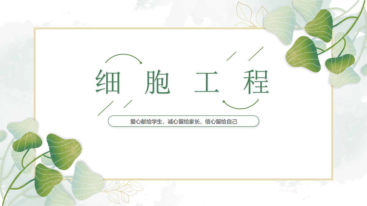 18275448第1页