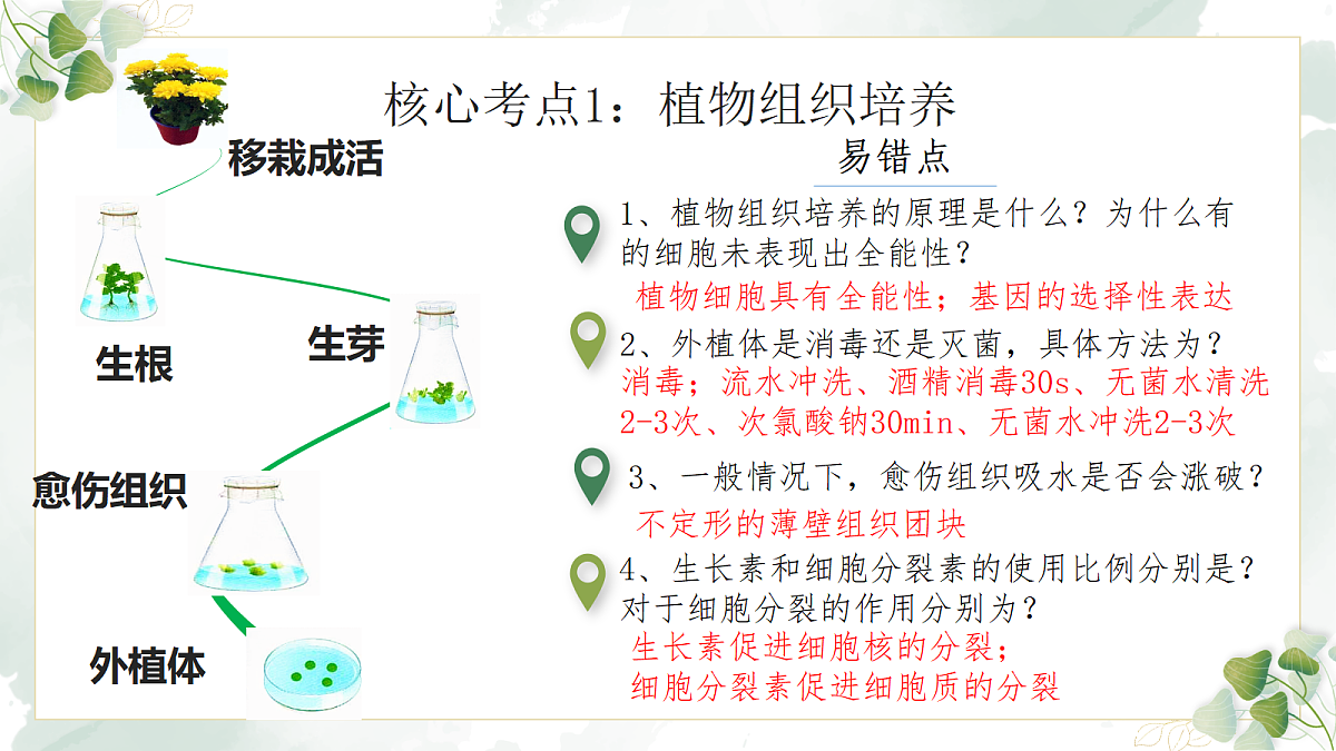 18275448第5页