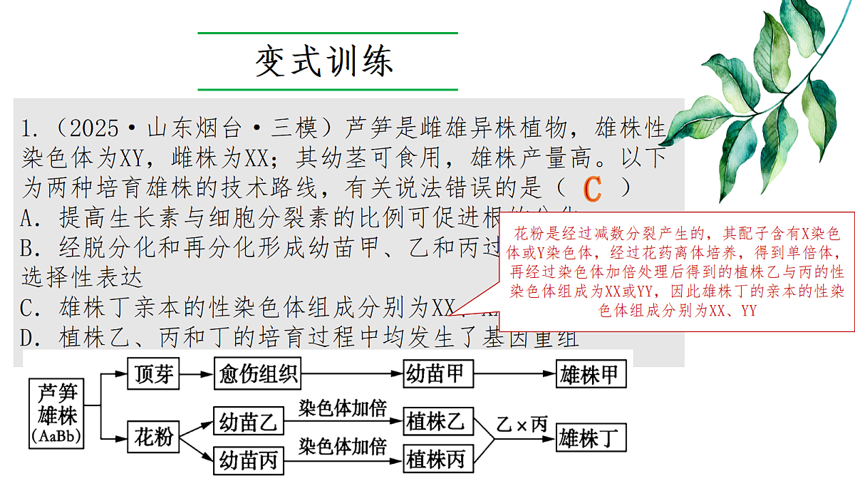 18275448第8页