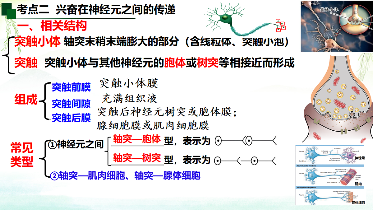 18275450第3页