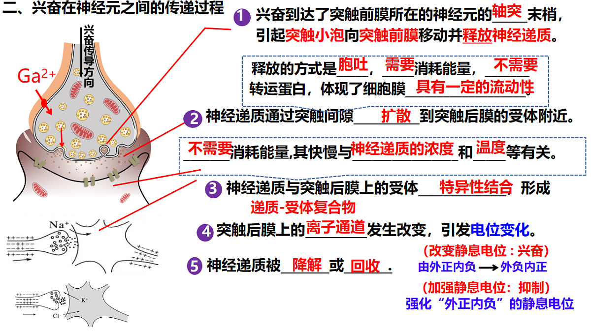 18275450第4页