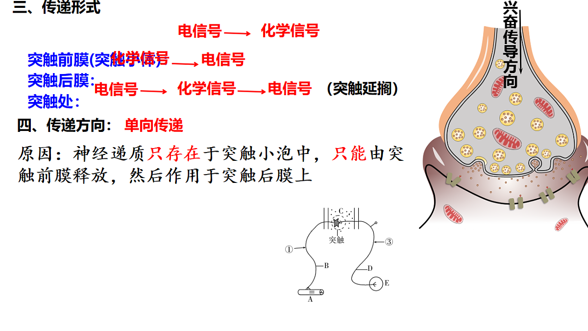 18275450第5页